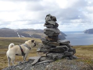 Emma am Nordkapp