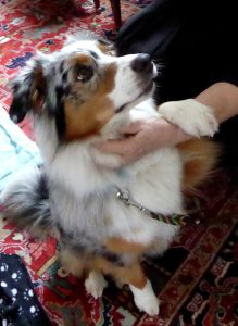 Candy-Assistenzbesuch