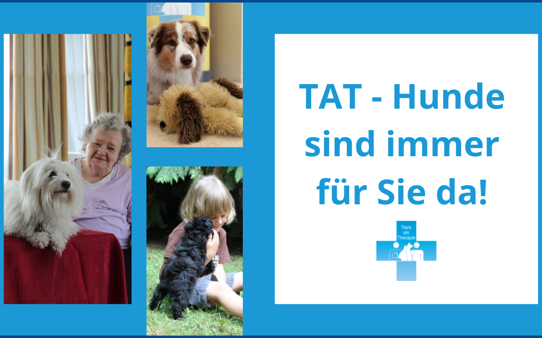 TAT-Hunde sind immer für Sie da!