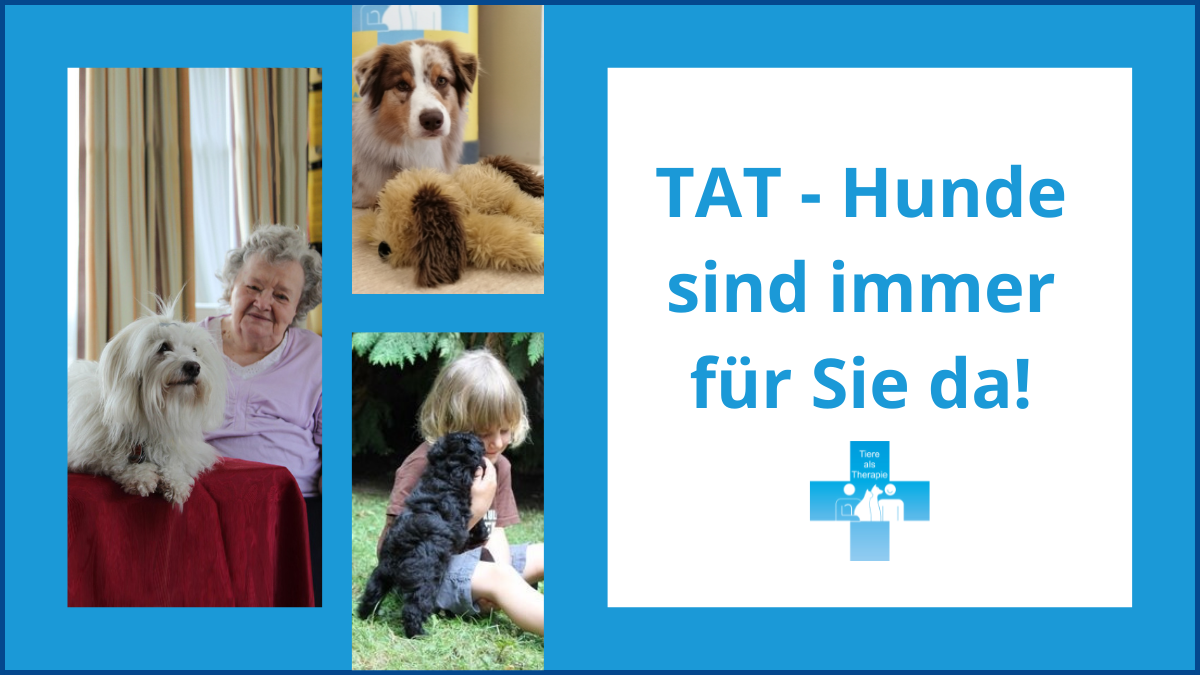 TAT-Hunde sind immer für Sie da!